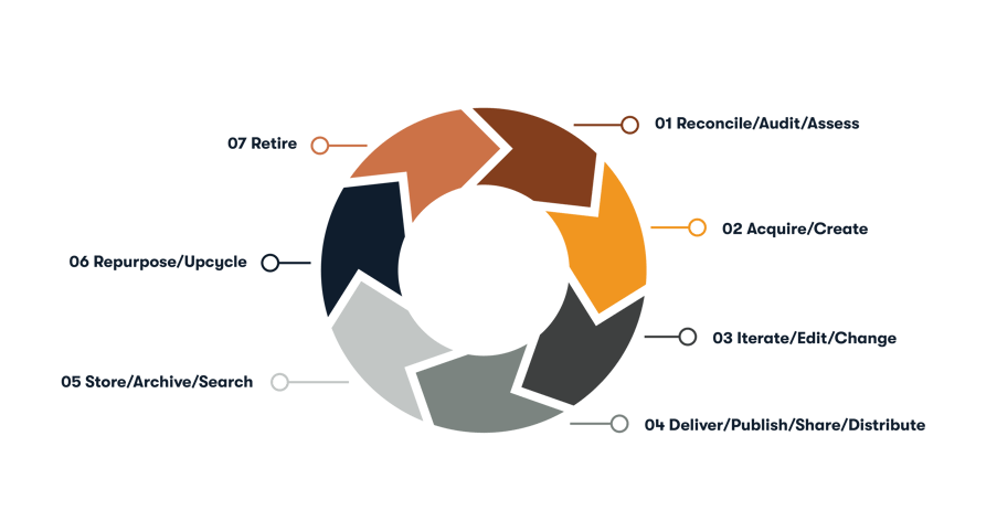 Lifecycle_Infographics-01-EN