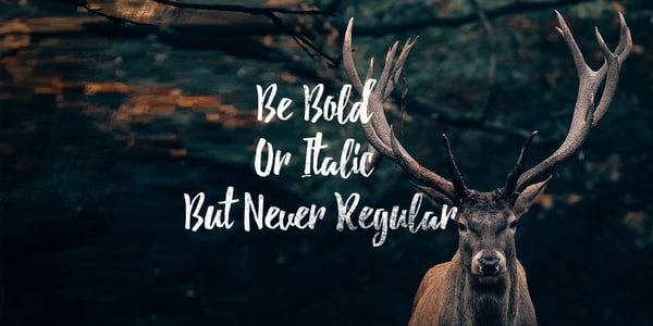 deer-debby-font-quote-02