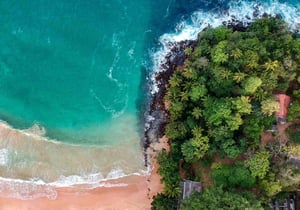 arial-view-blue-beach-water-tropical-forest-img-D