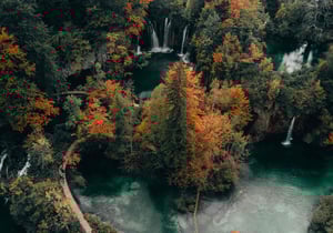 arial-view-fall-pines-waterfall-lakes-img-D